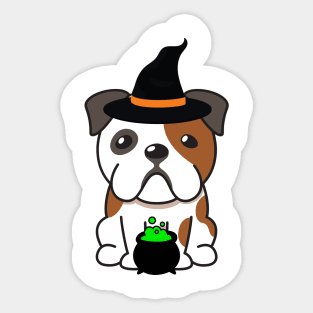 Cute english bulldog is a witch Sticker